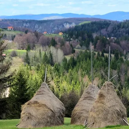 בקתה Planinska Kuca Nemanja Sljivovica (Zlatibor)