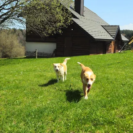 Planinska Kuca Nemanja Chalet *