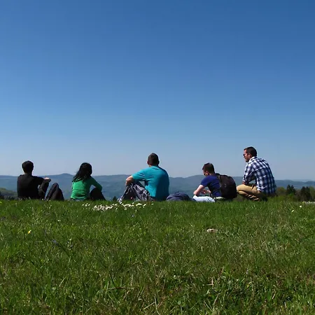 Planinska Kuca Nemanja Sljivovica (Zlatibor)