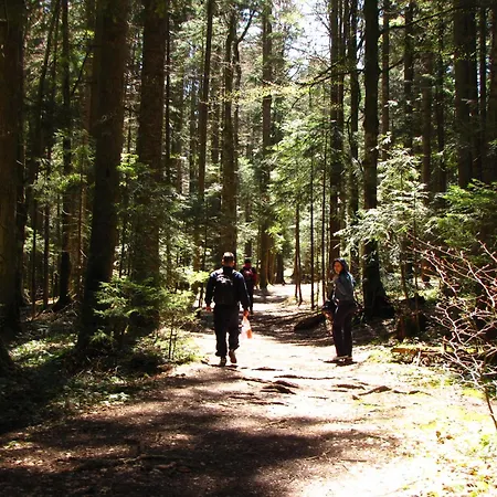 Planinska Kuca Nemanja * Sljivovica (Zlatibor)