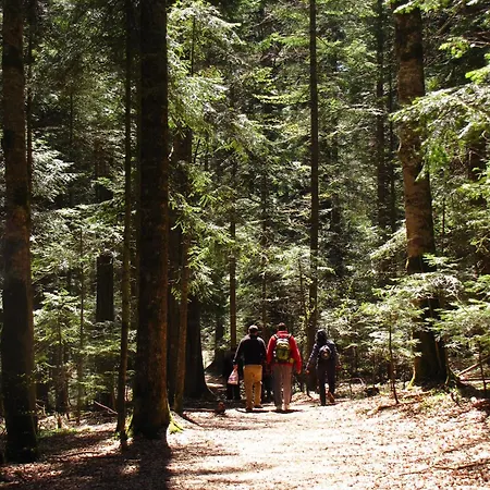 Planinska Kuca Nemanja * Sljivovica (Zlatibor)