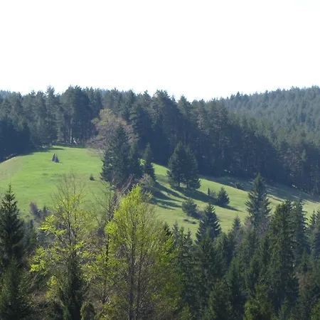 Chalet Planinska Kuca Nemanja