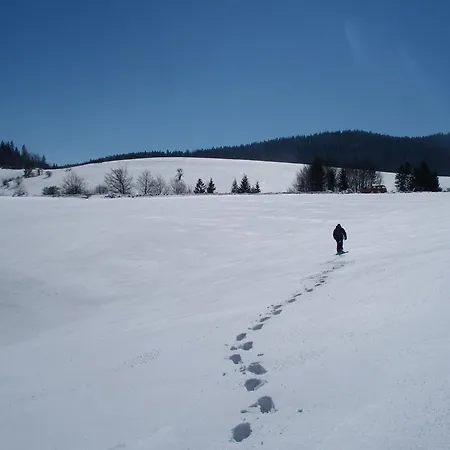 Planinska Kuca Nemanja Sljivovica (Zlatibor)