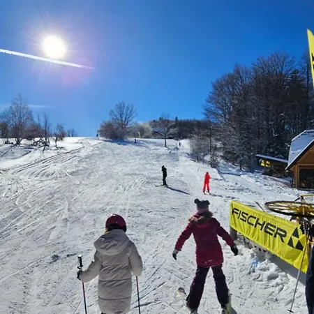 Planinska Kuca Nemanja בקתה *