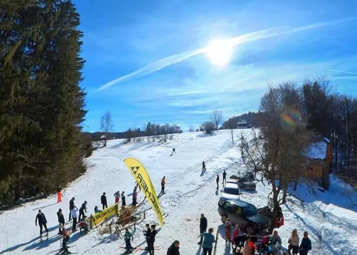 Planinska Kuca Nemanja * Sljivovica (Zlatibor)