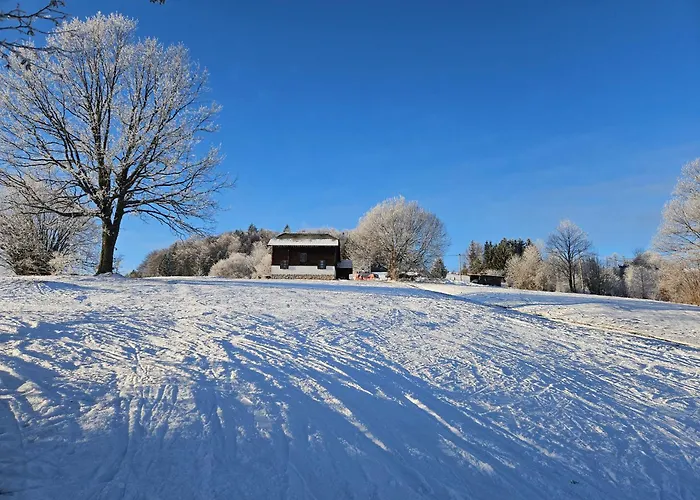 샬레 Planinska Kuca Nemanja Sljivovica (Zlatibor)