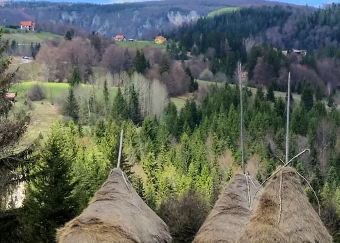 샬레 Planinska Kuca Nemanja Sljivovica (Zlatibor)