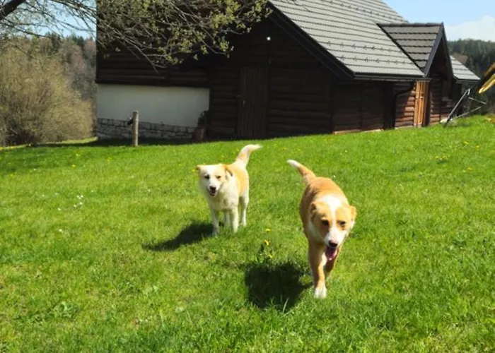 Planinska Kuca Nemanja 샬레 *