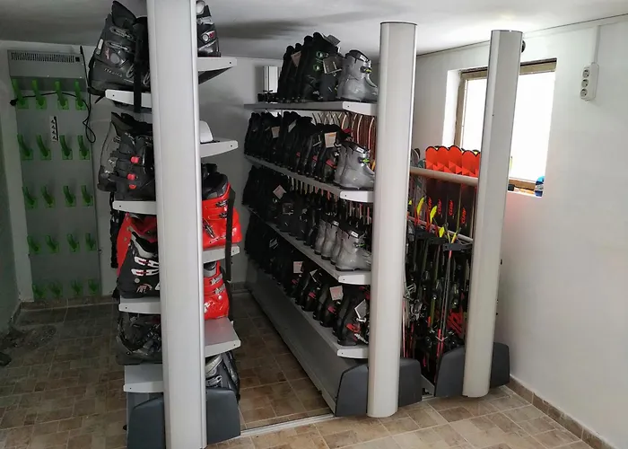 Planinska Kuca Nemanja 샬레 Sljivovica (Zlatibor)