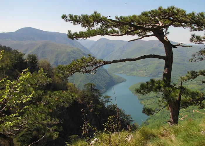 샬레 Planinska Kuca Nemanja Sljivovica (Zlatibor)