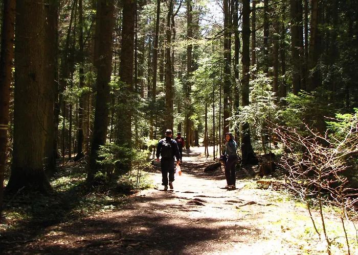 Planinska Kuca Nemanja * Sljivovica (Zlatibor)