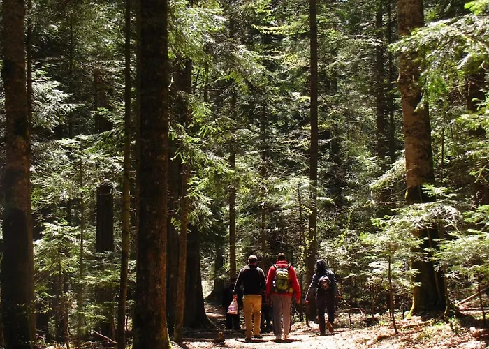 Planinska Kuca Nemanja * Sljivovica (Zlatibor)