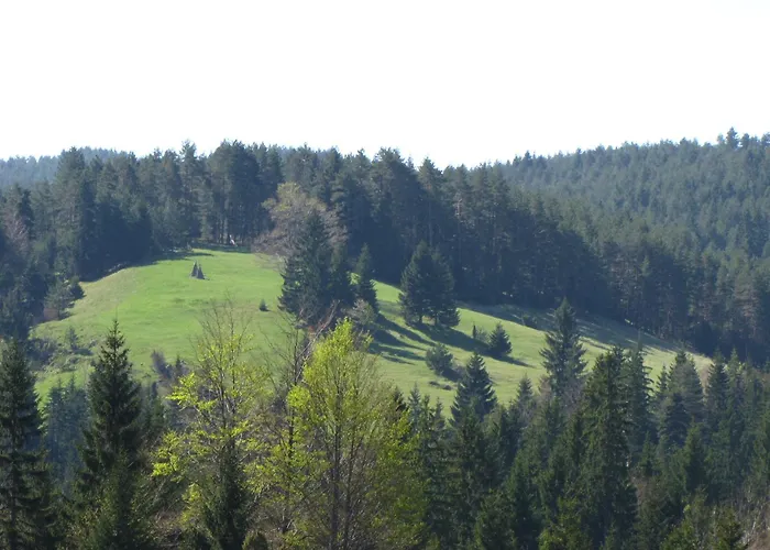 샬레 Planinska Kuca Nemanja