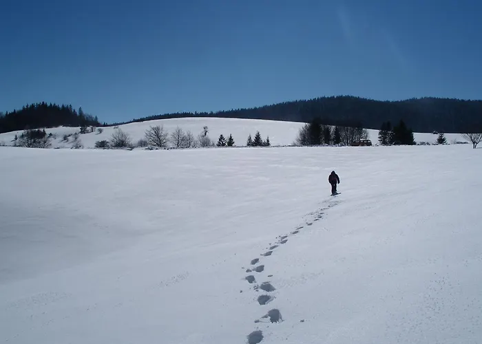 Planinska Kuca Nemanja Sljivovica (Zlatibor)