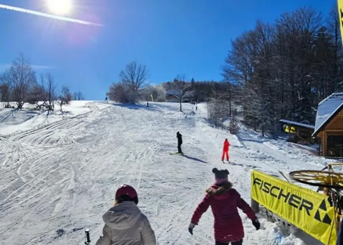 Planinska Kuca Nemanja 샬레 *